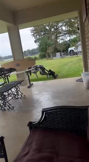 So funny 🤣🤣 | Radar & O'Reilly