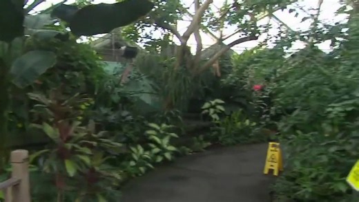 Garden-scale model trains