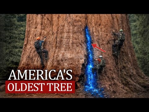Forbidden Ancient Site Hidden in the United States