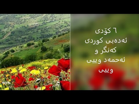 ٦ کۆدی ئەدەبی کوردی کەنگر و ئەحمەد وییی وییی