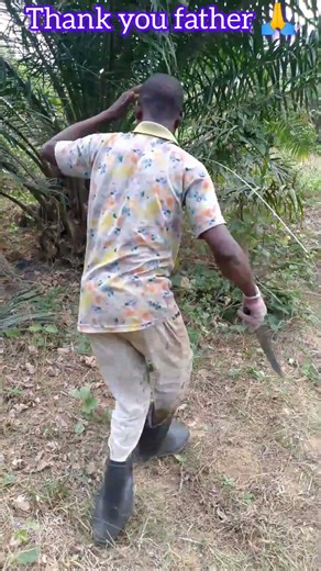 bless me father 🤔🙏#funny #nature