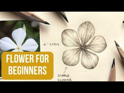 How to Draw a Simple Flower 🌸 | Beginner Graphite Tutorial