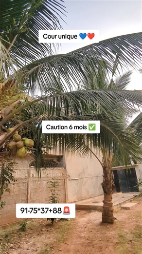 Vidéos de Dev Communication ✅ (@devcom01) avec son original - Dev Communication ✅