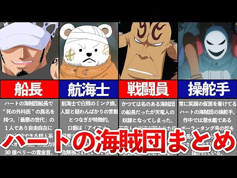【ONEPIECE】ハートの海賊団のメンバーまとめ