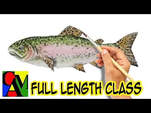 Beginner Watercolor class: How to paint a Rainbow Trout