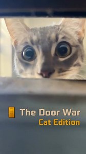 🚪✨️The Door War: Cat Edition | Alex Cattery House