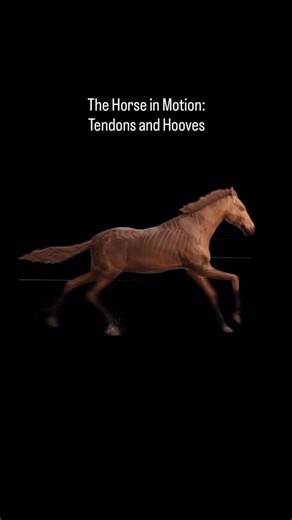 175K views · 6.1K reactions | It’s Science Week 溺離 To celebrate,...