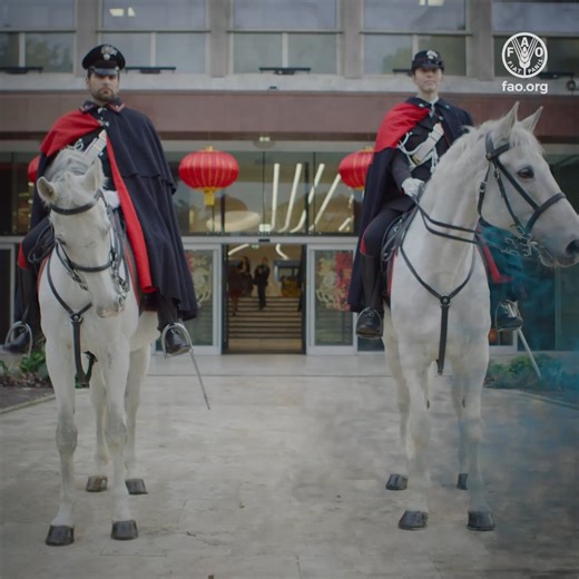 As we welcome the Year of the Fire Horse, FAO reflects on 80 years of achievements in our mission to ensure global food security. Let's continue advancing agrifood systems for the #4Betters. Best wishes for peace, prosperity & abundance to all! #YearOfTheHorse | Food and Agriculture Organization of the United Nations (FAO)