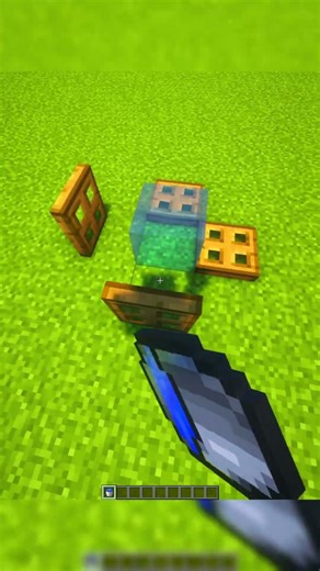 This is ILLEGAL in Minecraft #minecraft #gaming #shorts