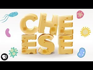 The Delicious Science of CHEESE!