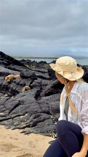 Macaila Wagner | Wait until the end to for the video of me swimming with them🥹 Bucket list item checked off!! #galápagos #galapagos #galapagosislands... | Instagram