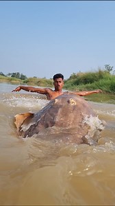 1.6M views · 5K reactions | Best fishing river deep water. Fishing video. Monster fish meet fisherman. #fish #fishing #viral #reel #short | Fisherman Animal Lover-Original | Facebook