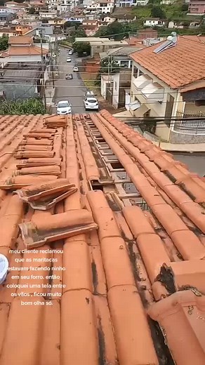 Terracotta Roof Tile Repair Tips and Services