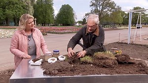 MDR Garten: Den Gartenboden gezielt verbessern
