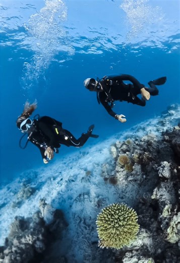 Top Scuba Diving Destinations to Explore This Year