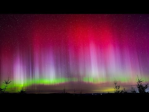 Aurora Borealis and Milky Way Timelapse January 19, 2026 - Clatsop Forest, Oregon