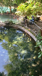 🌴💧 Amapulapa, San Vicente Un rinconcito mágico de El Salvador para relajarse, disfrutar del agua y la naturaleza. 🇸🇻✨ | Sanvi Pro