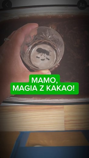 17K views · 5.9K reactions | WOW To wygląda jak eksperyment z...