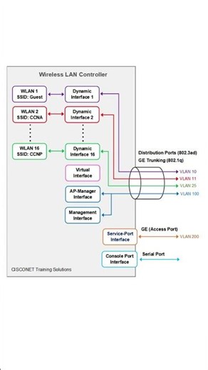 Cisco Wireless Controller Architecture #ccna #wireless