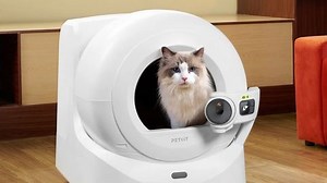 6 New Ways to Upgrade Your Home With AI in 2025 | Haystack News