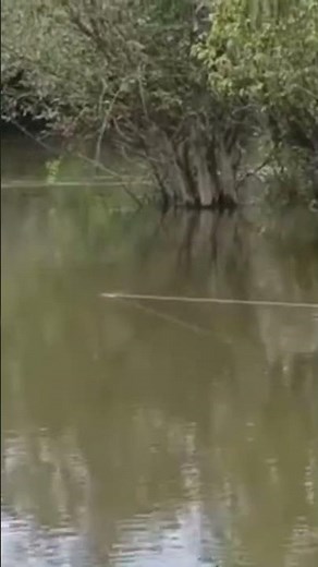 Visiting the lofa River, lofa county Republic of Liberia#africa #everyone #dstv403 #love#solar