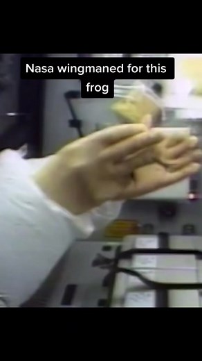 Frog Reproduction in Zero Gravity