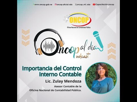 Episodio Nº 5: Importancia del Control Interno Contable
