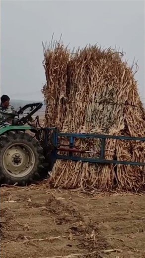the stage of collecting dry grass using heavy equipment #automobile