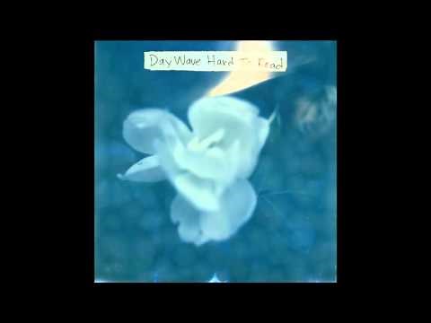 Day Wave - Hard to Read