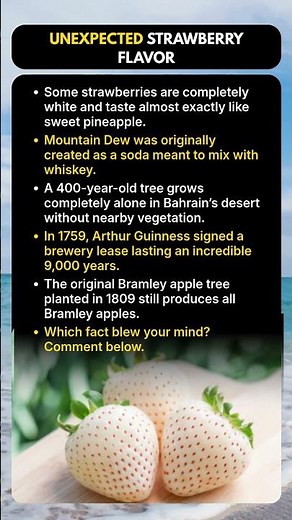Rare Fruits and Trees You Won’t Believe Exist