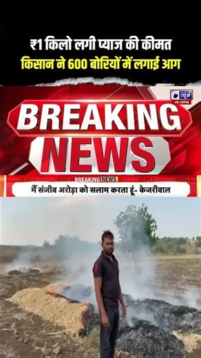 ₹1 किलो प्याज, किसान ने 600 बोरियों में लगाई आग! 😢😢