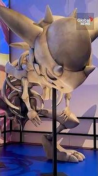 “I’m 1,000% excited”: Pokémon Fossil Museum debuts in Chicago as generations of fans flock to event