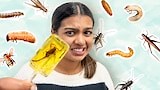 Eating Insects