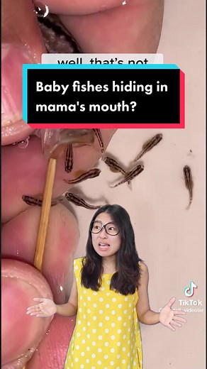 TikTok - Make Your Day