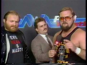 Ole & Arn Anderson Interview [1987-01-03]
