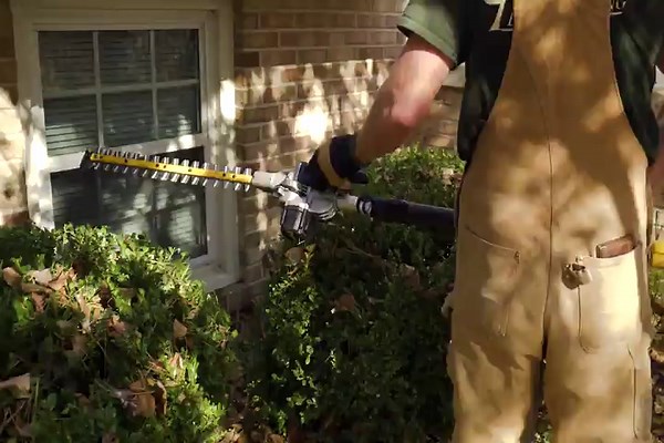 6 Best Pole Hedge Trimmers (Spring 2026) – Reviews & Buying Guide