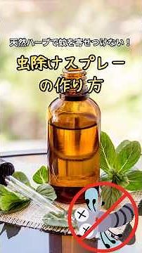 Keep mosquitoes away! Mint insect repellent spray🌿