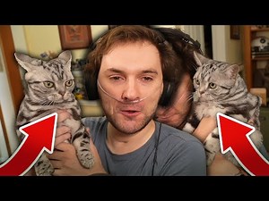 Scar Introduces His New Cats To His Viewers...