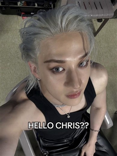 Exploring Stray Kids: Hello Chris and Bang Chan Insights