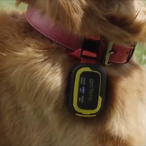 399K views · 13 reactions | This innovative GPS tracker needs no...