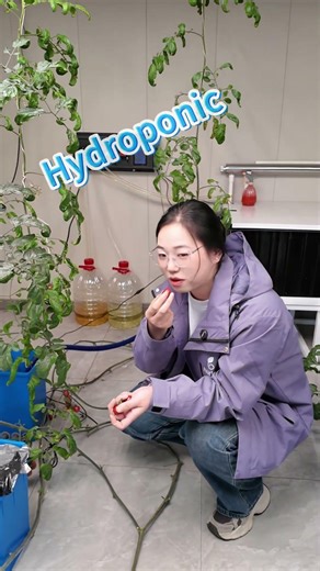 Clean Eating with Hydroponic Vegetables – Health Benefits Explained #HealthyEating#Hydroponics