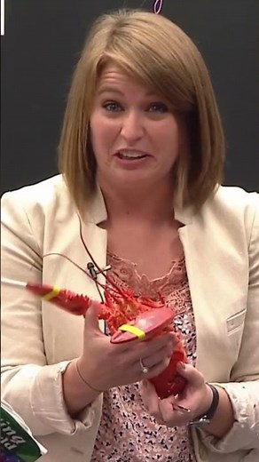 Miss Lewis and the Lobster #abeka #lobsterlovers