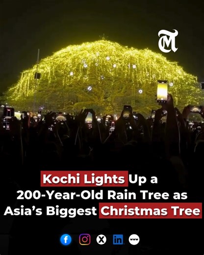 India Leaves the world amazed With Asia's Largest Natural Christmas Tree As Kochi Lights Up The Festive Season With a 200-Year -Old Rain Tree Standing 80 Feet. #india #Christmas #christmastreedecorations | The MES Times