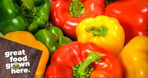 What's in Season? Bell Peppers (Field and Greenhouse)