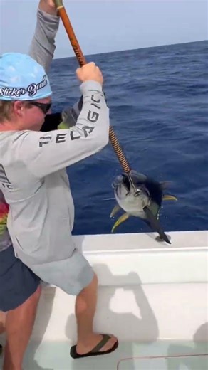 BIG YELLOWFIN TUNA!! #fishing #gopro