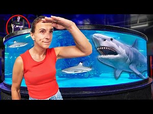 Extreme Hide and Seek at Aquarium and Reptile Zoo!