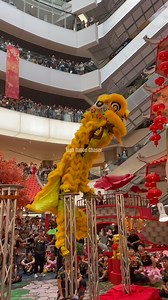 34K views · 8.7K reactions | #cny2025 | Practice VS Performance | Acrobatic #liondance @ 1 Utama | Lion Dance Chaser Page | Facebook