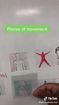 Planes of Movement Explained