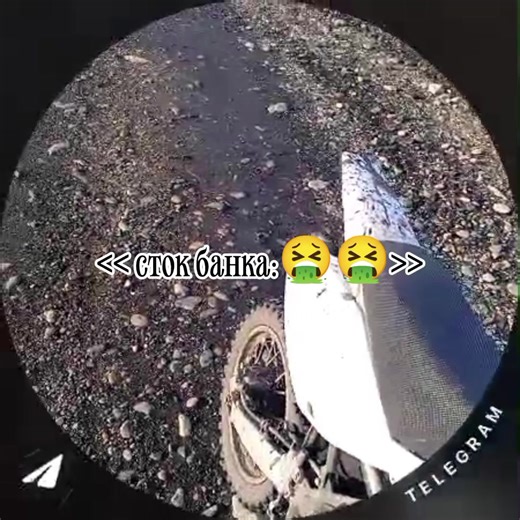 Akrapovic Exhaust for Pitbikes: Sound and Performance