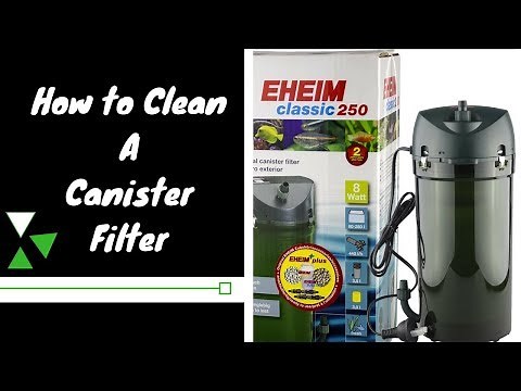 How To Clean an Eheim 250 classic Canister filter